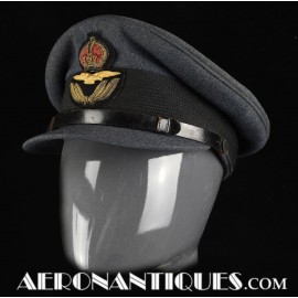 WWII British Air Force RAF...