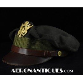 50 Missions US Army Air...