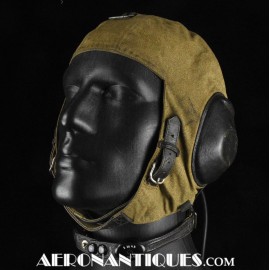 German Luftwaffe Pilot...