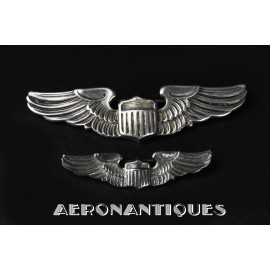 Brevets Pilote AMICO  US...